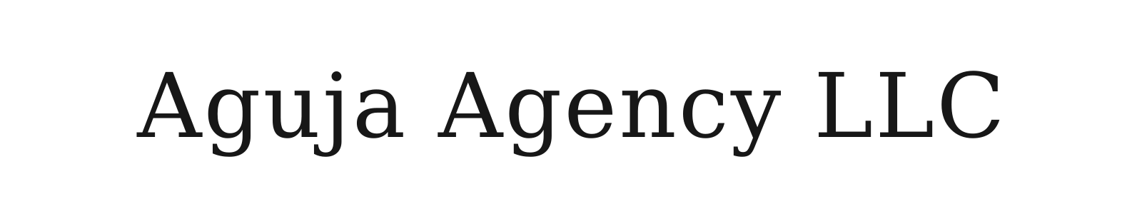 Aguja Agency LLC